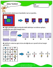 Zeka Gelişim Testleri
